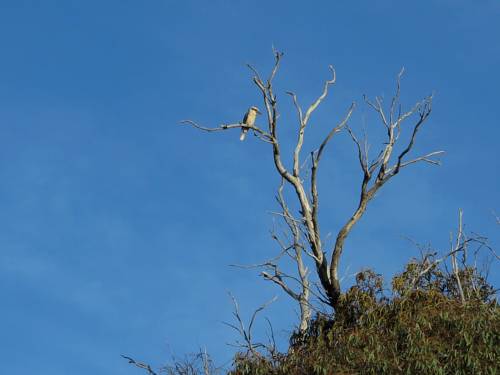 Sedgwick Australia Booking Discount booking.com