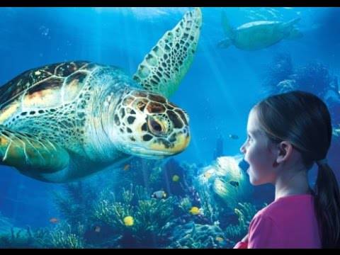 Serris France Réservation Réduction booking.com