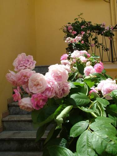 Nuoro Italie Réservation Réduction booking.com