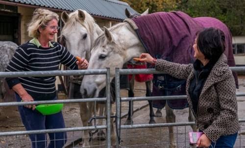 Bridgend United Kingdom Booking Discount booking.com