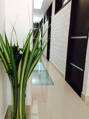 Medellin Colombia Booking Discount agoda.com