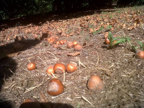 Monteu Roero Italy Booking Discount booking.com