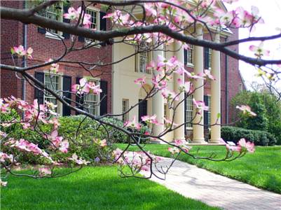 Chapel Hill (North Carolina) United States Booking Discount booking.com