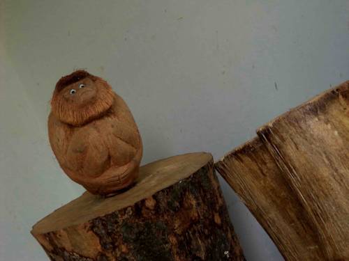 Kandy Sri Lanka Réservation Réduction booking.com