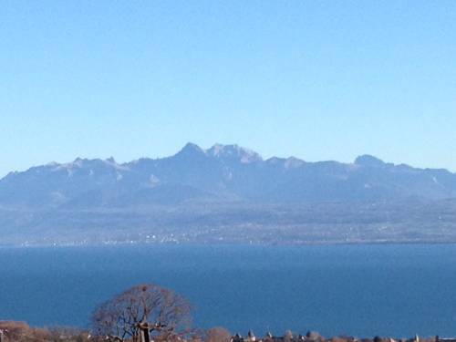 Tartegnin Suisse Réservation Réduction booking.com