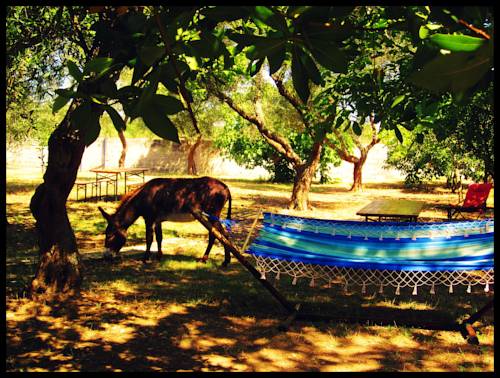 Melendugno Italie Réservation Réduction booking.com