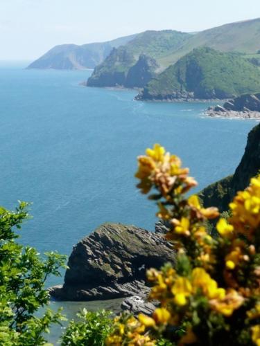 Combe Martin United Kingdom Booking Discount agoda.com