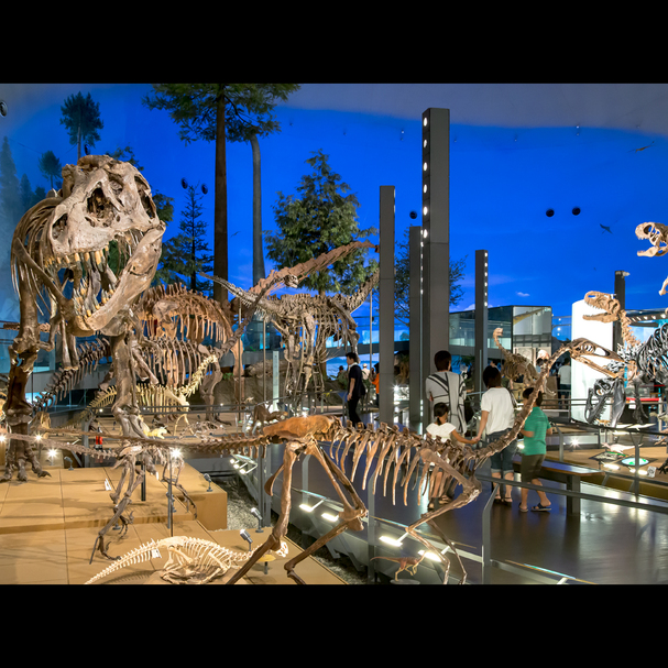 Ono Japan Booking Discount agoda.com