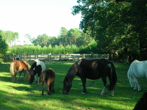 Saubion France Booking Discount booking.com