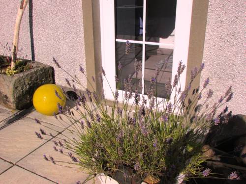 Bushmills Royaume-Uni Réservation Réduction booking.com