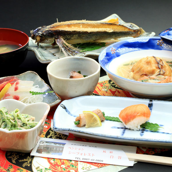 Yakushima Japan Booking Discount agoda.com