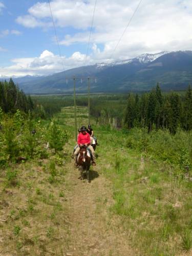 Valemount (British Columbia) Canada Booking Discount booking.com