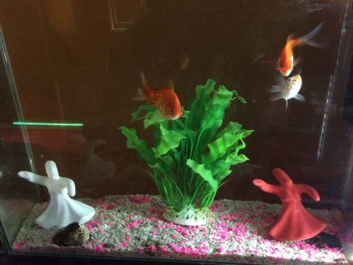 İstanbul Turkey Booking Discount booking.com