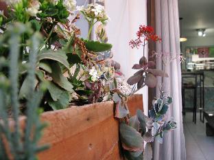 Kalamata Greece Booking Discount agoda.com