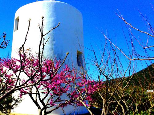 Apollonía Grèce Réservation Réduction booking.com