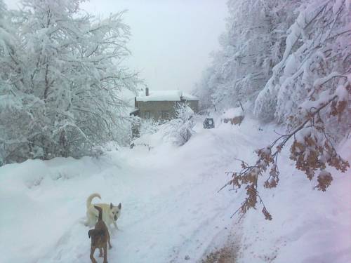 Metamorfosi Greece Booking Discount booking.com