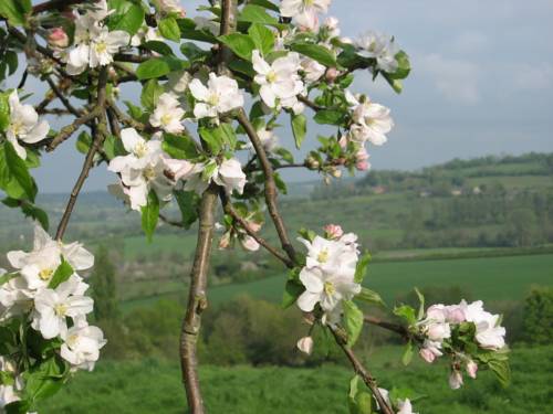 Livarot France Booking Discount booking.com