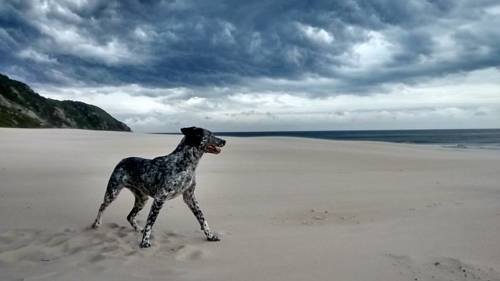 Florianopólis (Santa Catarina) Brésil Réservation Réduction booking.com