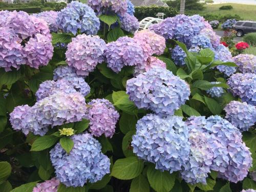 Chatham (MA) United States Booking Discount agoda.com