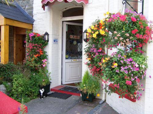 Newquay United Kingdom Booking Discount booking.com