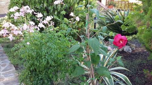 Perdifumo Italy Booking Discount booking.com