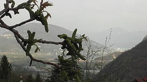 Casale Corte Cerro Italy Booking Discount booking.com