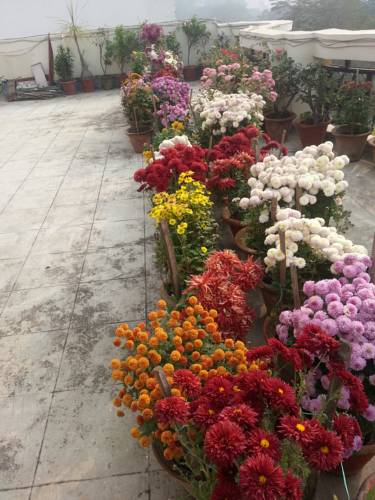 Lucknow Inde Réservation Réduction booking.com