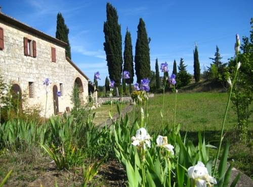 Sarteano Italie Réservation Réduction booking.com