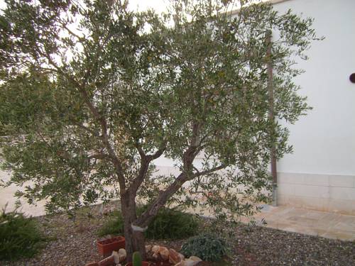 Martina Franca Italy Booking Discount booking.com