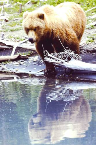 Palmer (Alaska) United States Booking Discount booking.com