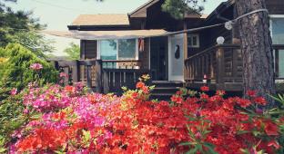 Taean-gun South Korea Booking Discount agoda.com