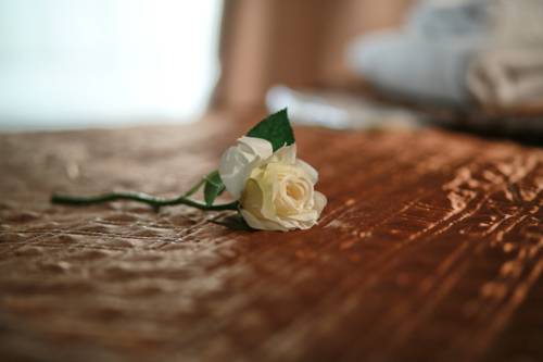 Moscow Russia Booking Discount booking.com