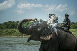 Chitwan Nepal Booking Discount agoda.com