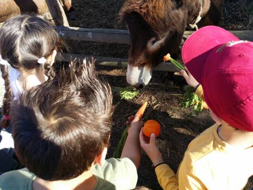 Santa Maria la Palma Italy Booking Discount booking.com