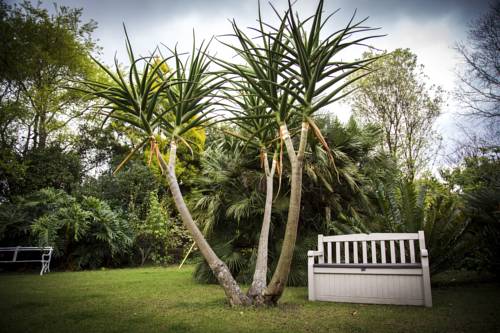 Howick Afrique du Sud Réservation Réduction booking.com