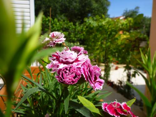 Benitses Grèce Réservation Réduction booking.com