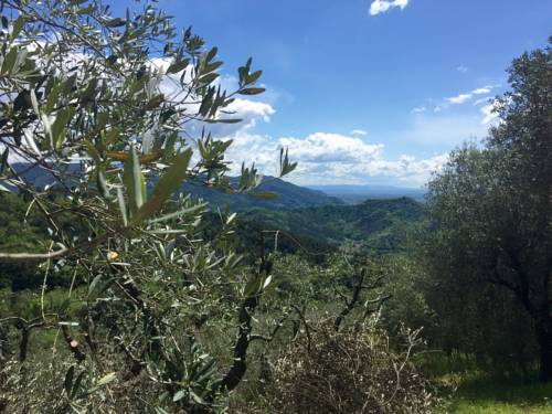 Compignano Italy Booking Discount booking.com